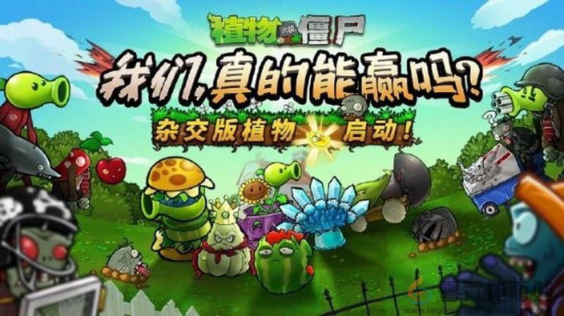 《植物大战僵尸杂交版》作者初中毕业 做游戏改变他人生(图1)