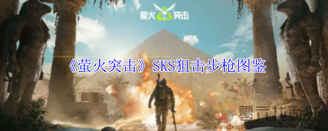 萤火突击SKS狙击步枪图鉴(图1)